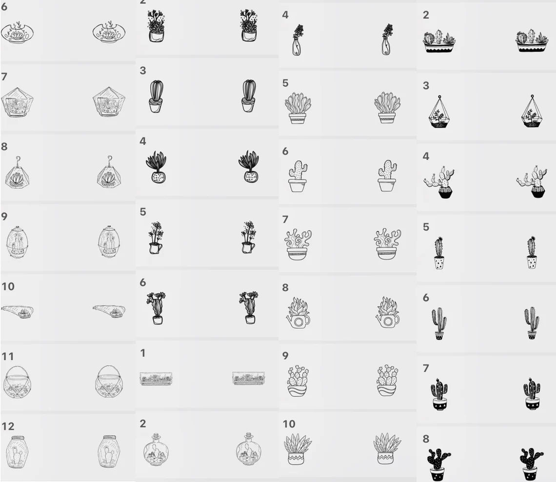 z 450+ Procreate Cacti Brushset Procreate