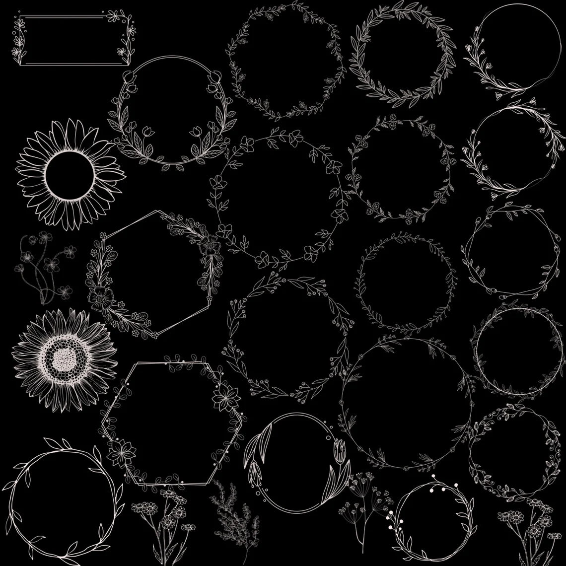 z 3200+ Floral Botanical Procreate Brushes