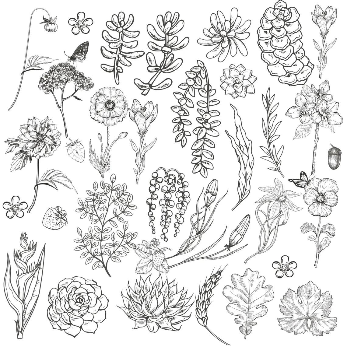 z 3200+ Floral Botanical Procreate Brushes