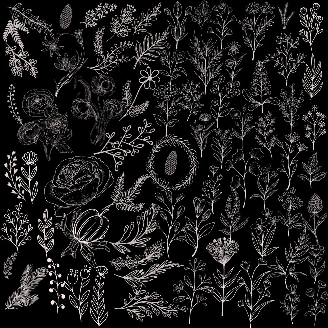 z 3200+ Floral Botanical Procreate Brushes