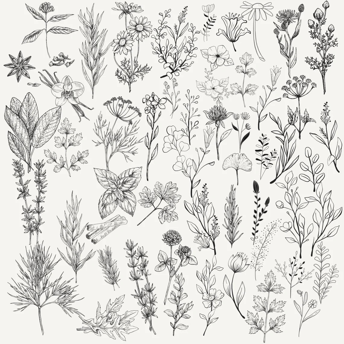 z 3200+ Floral Botanical Procreate Brushes