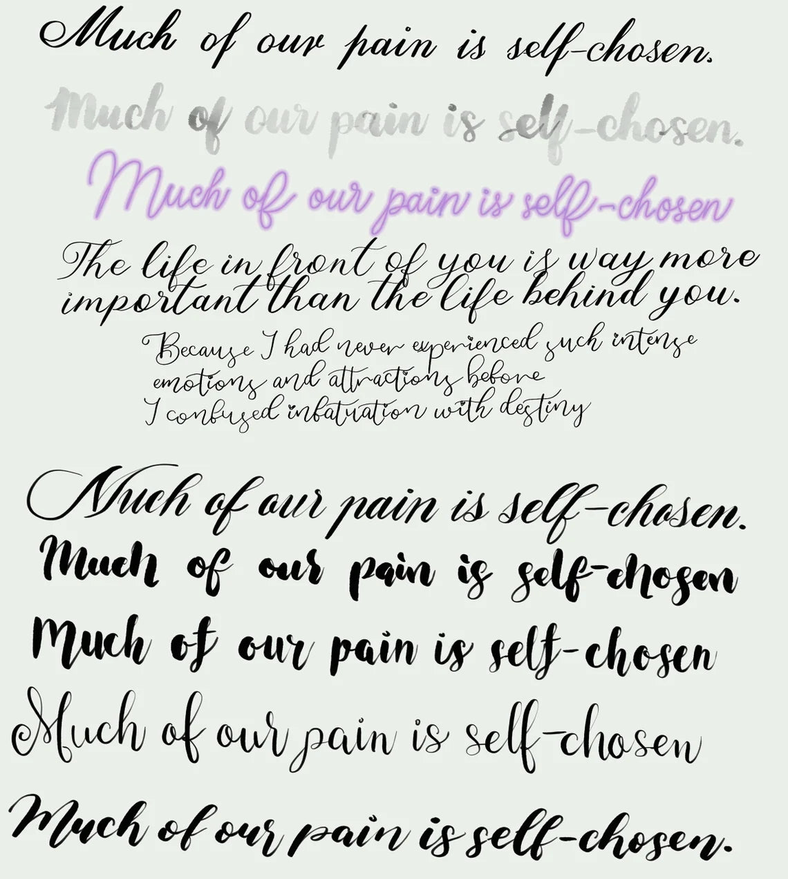 z 25+ Procreate Lettering Brush Set