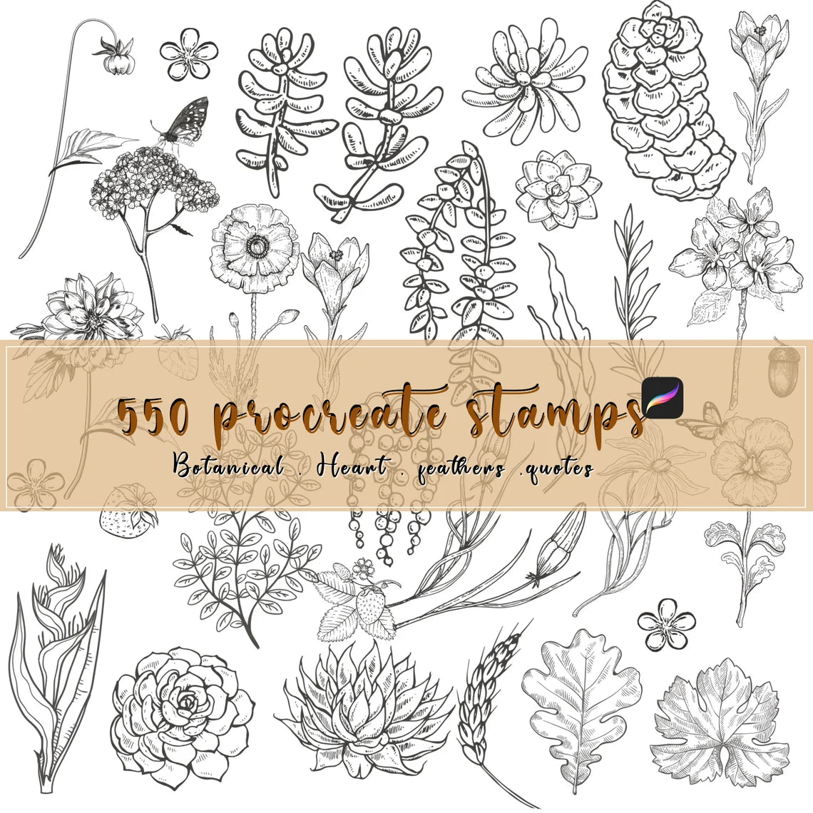 z 3200+ Floral Botanical Procreate Brushes